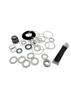 Zestaw naprawczy pompy GRACO Xtreme  48cc